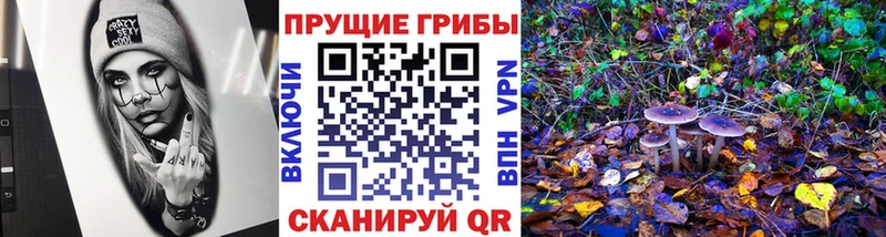 как найти   Лахденпохья  Галлюциногенные грибы MAGIC MUSHROOMS 
